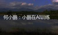 何小鹏：小鹏在AI训练上已投入35亿，没有使用大模型的智驾都将被淘汰